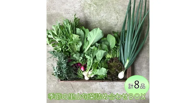 【ふるさと納税】わたね　季節の里山旬菜詰め合わせBOX（計8品）≪ギフト セット 野菜 無農薬 グルメ≫※着日指定不可