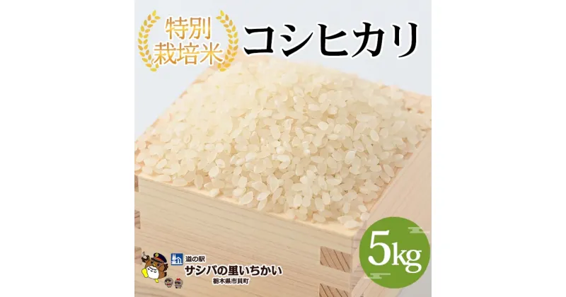 【ふるさと納税】【新米】【先行予約】特別栽培米〈コシヒカリ〉5kg ※離島への配送不可 ※2024年9月中旬頃より順次発送予定 | 国産 栃木県産 コシヒカリ 米 お米 特別栽培米 精米 白米 栃木米 とちぎ米 産地直送 送料無料