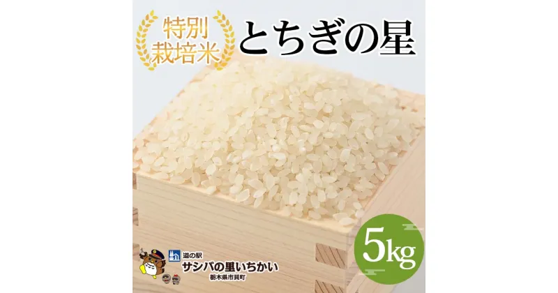 【ふるさと納税】【新米】【先行予約】特別栽培米〈とちぎの星〉5kg ※離島への配送不可 ※2024年9月中旬頃より順次発送予定 | 国産 栃木県産 とちぎの星 米 お米 特別栽培米 精米 白米 栃木米 とちぎ米 米の食味ランキング特A評価 産地直送 送料無料