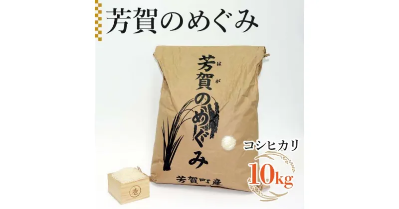 【ふるさと納税】令和6年産「芳賀のめぐみ」コシヒカリ　10kg 袋入り　栃木県芳賀町産 ｜ 米 お米 ご飯 国産 送料無料※離島への配送不可