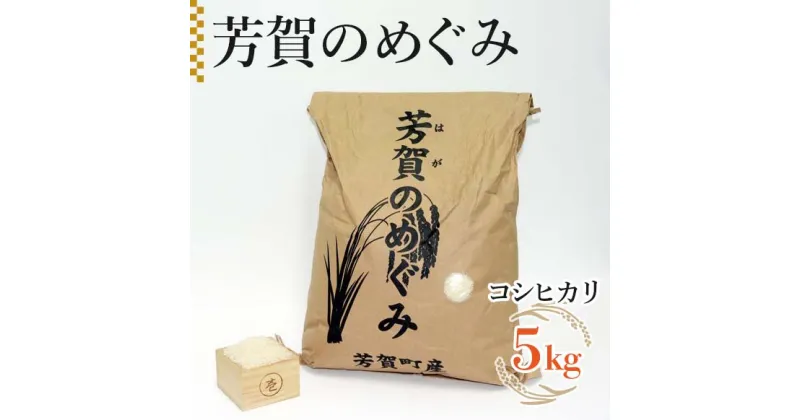 【ふるさと納税】令和6年産「芳賀のめぐみ」コシヒカリ　5kg 袋入り　栃木県芳賀町産 ｜ 米 お米 ご飯 国産 送料無料※離島への配送不可