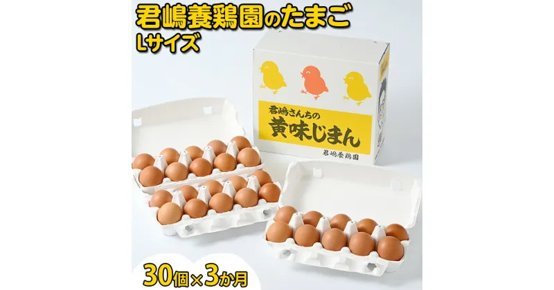 【ふるさと納税】【3か月定期便】君嶋養鶏園のたまご Lサイズ 30個（27個＋割れ補償3個）×3ヶ月 計90個 | 定期便 3ヶ月 3か月 3ヵ月 卵 玉子 たまご 赤卵 赤たまご 生卵 国産 濃厚 鶏卵 コク 旨味※着日指定不可