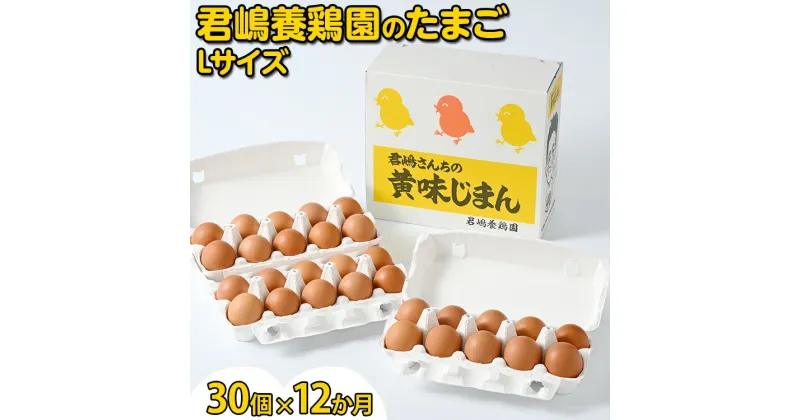 【ふるさと納税】【12か月定期便】君嶋養鶏園のたまご Lサイズ 30個（27個＋割れ補償3個）×12ヶ月 計360個 | 定期便 12ヶ月 12か月 12ヵ月 卵 玉子 たまご 赤卵 赤たまご 生卵 国産 濃厚 鶏卵 コク 旨味※着日指定不可