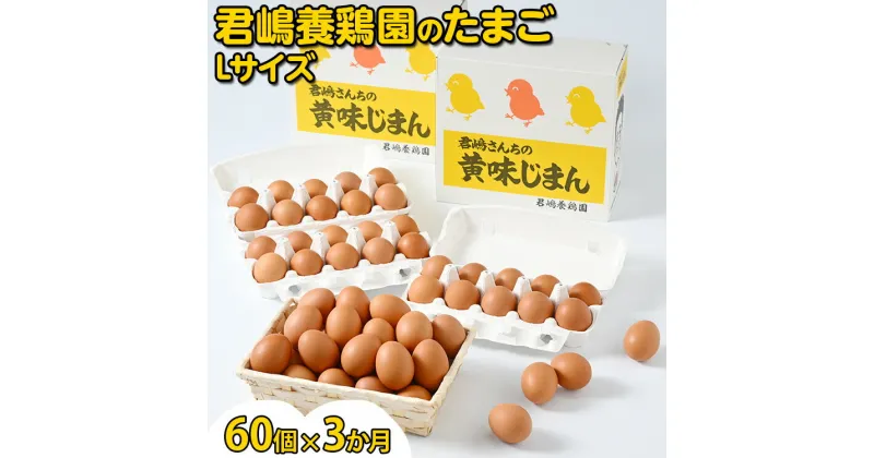 【ふるさと納税】【3か月定期便】君嶋養鶏園のたまご Lサイズ 60個（55個＋割れ補償5個）×3ヶ月 計180個 | 定期便 3ヶ月 3か月 3ヵ月 卵 玉子 たまご 赤卵 赤たまご 生卵 国産 濃厚 鶏卵 コク 旨味※着日指定不可