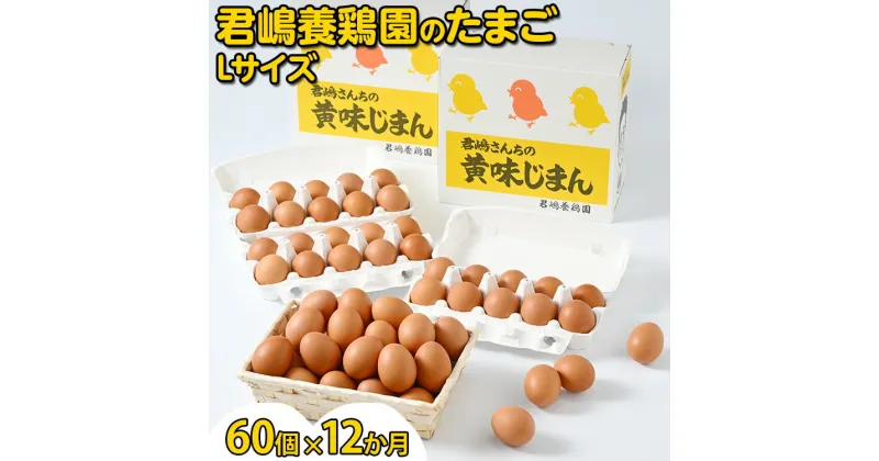 【ふるさと納税】【12か月定期便】君嶋養鶏園のたまご Lサイズ 60個（55個＋割れ補償5個）×12ヶ月 計720個 | 定期便 12ヶ月 12か月 12ヵ月 卵 玉子 たまご 赤卵 赤たまご 生卵 国産 濃厚 鶏卵 コク 旨味※着日指定不可