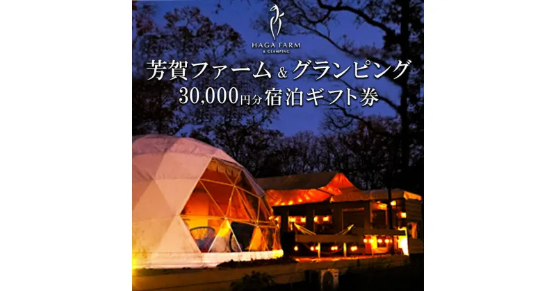 【ふるさと納税】芳賀ファーム&グランピング 3万円分宿泊ギフト券 | サラブレッド牧場とグランピングの融合施設 宿泊 旅行 アウトドア 体験 春休み GW 夏休み 家族旅行 バーベキュー BBQ 栃木県 芳賀町