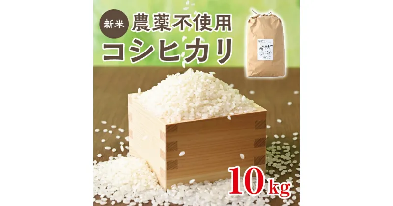 【ふるさと納税】令和6年産 新米 無農薬「コシヒカリ」10kg お米 こしひかり 栃木県壬生町