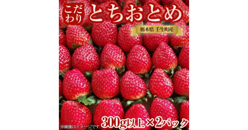 【ふるさと納税】栃木県産 こだわり とちおとめ【300g以上×2パック】| 家庭用 完熟 朝摘み 苺 いちご イチゴ とちおとめ 果物 フルーツ 秀品 贈答 栃木県 壬生町 産地直送 ※2024年12月中旬頃より順次発送予定