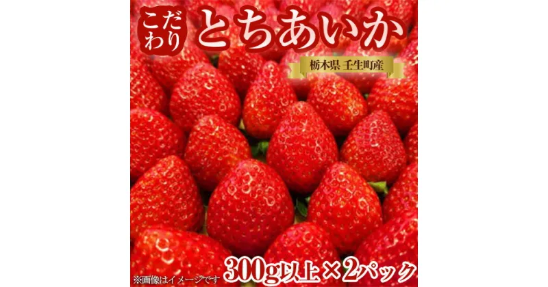 【ふるさと納税】栃木県産 こだわり とちあいか【300g以上×2パック】| 家庭用 完熟 朝摘み 苺 いちご イチゴ とちあいか 果物 フルーツ 秀品 贈答 栃木県 壬生町 産地直送 ※2024年11月中旬頃より順次発送予定