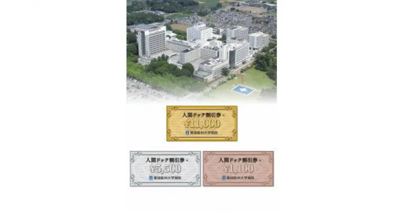 【ふるさと納税】獨協医科大学病院 人間ドック 割引券 (1,100円) 健康診断 費用 クーポン 栃木県壬生町