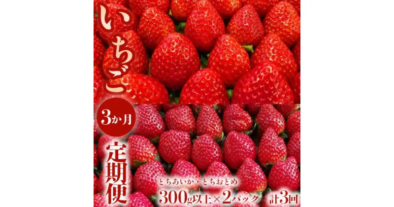 【ふるさと納税】【定期便】＜いちご3ヶ月定期便＞先行受付 とちあいか とちおとめ 300g以上2パック計3回 | 完熟 朝摘み 苺 いちご イチゴ とちあいか とちおとめ 食べ比べ 果物 フルーツ 秀品 贈答 栃木県 壬生町 産地直送 ※2025年1月より順次発送予定