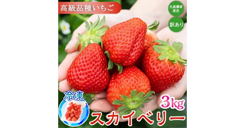 【ふるさと納税】【訳あり】冷凍スカイベリー3kg (500g×6) | 生産者直送 高級品種 無選別訳あり 冷凍 いちご 栃木県壬生町産 果物 フルーツ 苺 イチゴ スムージー ジャム 不揃い