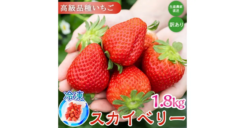 【ふるさと納税】【訳あり】冷凍スカイベリー1.8kg (300g×6) | 生産者直送 高級品種 無選別訳あり 冷凍 いちご 栃木県壬生町産 果物 フルーツ 苺 イチゴ スムージー ジャム 不揃い