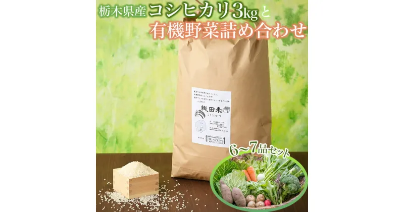 【ふるさと納税】【限定20セット】農薬不使用栃木県産コシヒカリ令和6年産白米3kgと有機野菜6～7品セット 詰め合わせ やさい 採れたて お米 おこめ 有機JAS認証 ※北海道・沖縄・離島への配送不可