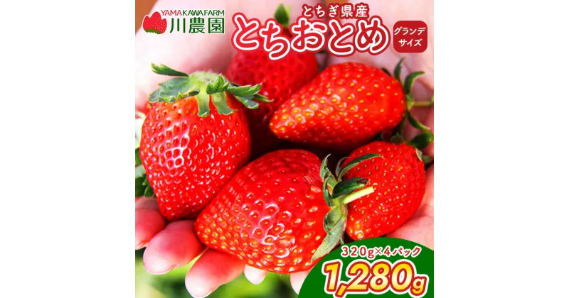 【ふるさと納税】【訳あり】とちおとめ 320g×4パック 約1.2kg グランデサイズ　※2025年1月中旬頃より順次発送予定