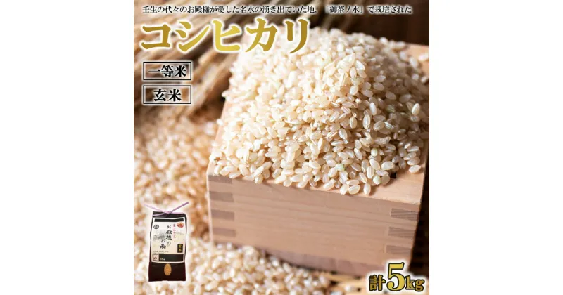 【ふるさと納税】《令和6年産》コシヒカリ 玄米 2.5kg×2 計5kg 一等米 お殿様のお米 米 お米 おこめ こしひかり コメ こめ ご飯 ごはん 国産 栃木県 壬生町