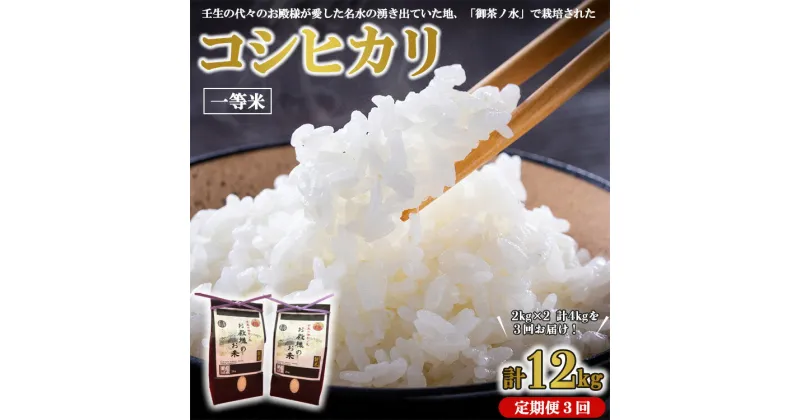 【ふるさと納税】《令和6年産》【3ヵ月定期便】コシヒカリ 2kg×2 計4kg 一等米 お殿様のお米 お米 おこめ こしひかり コメ こめ ご飯 ごはん 国産 栃木県 壬生町