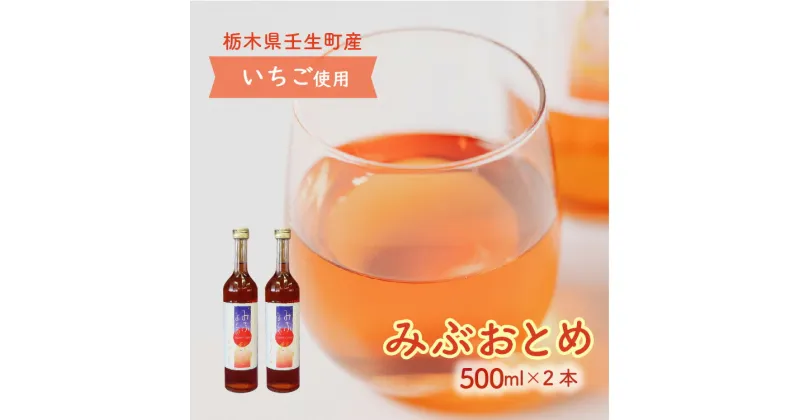 【ふるさと納税】みぶおとめ 500mL 2本　※2024年8月頃より順次発送予定