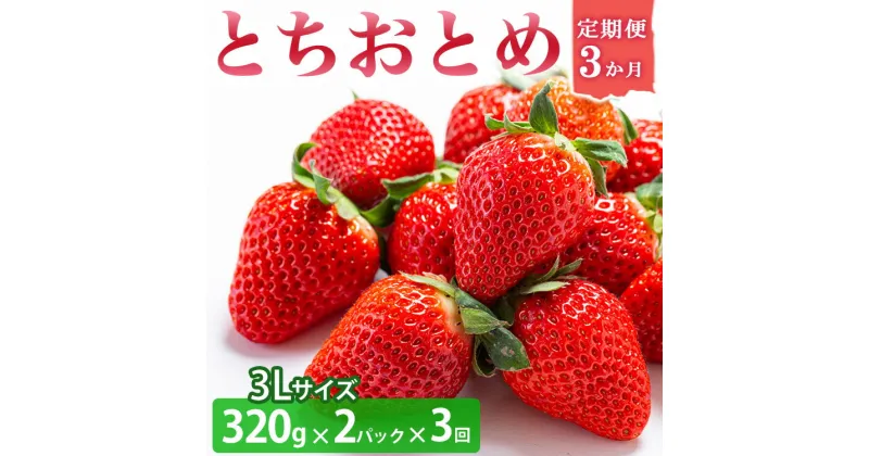 【ふるさと納税】＜いちご3か月定期便＞栃木県産とちおとめ 320g×2パック 3Lサイズ 3回 | 栃木県 壬生町 いちご 苺 イチゴ とちおとめ フルーツ 果物 新鮮 平積み 産地直送 2025年1月 2月 3月 ※2025年1月中旬頃より順次発送予定 ※離島への配送不可