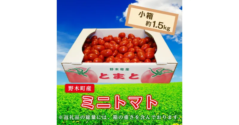 【ふるさと納税】ミニトマト トマト 甘い T02 栃木県野木町産ミニトマト小箱（約1.5kg）【2024年10月ごろより順次発送予定】