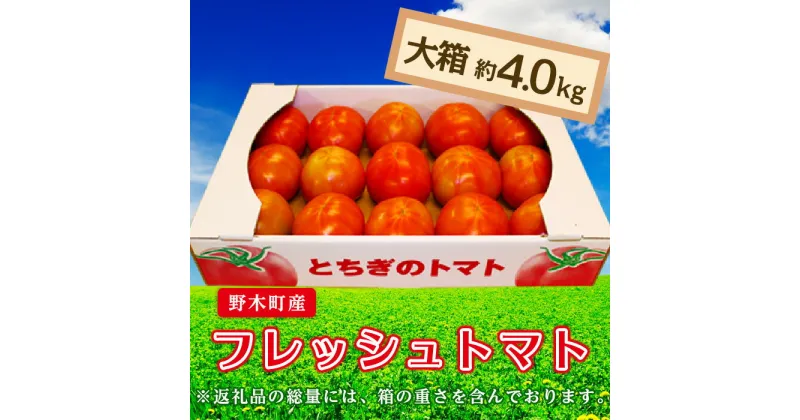 【ふるさと納税】トマト 甘い T03 栃木県野木町産トマト大箱（約4kg）【2024年10月ごろより順次発送予定】