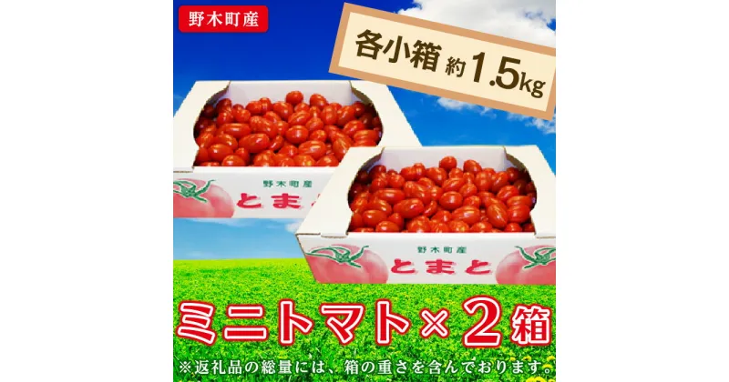 【ふるさと納税】ミニトマト トマト 甘い T05 栃木県野木町産ミニトマト小箱（約1.5kg）×2セット【2024年10月ごろより順次発送予定】