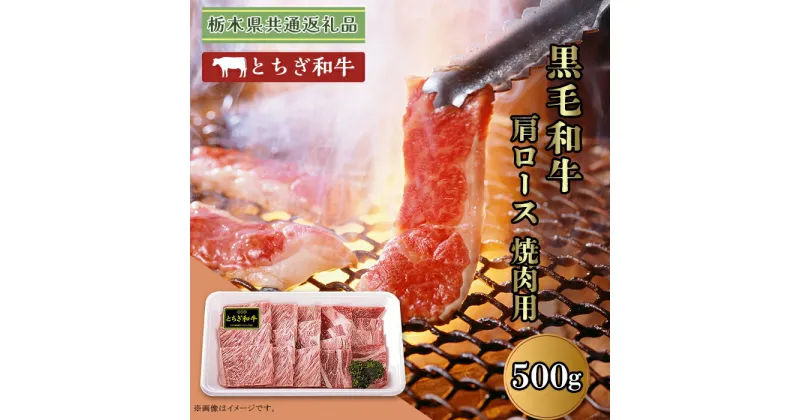 【ふるさと納税】黒毛和牛 肩ロース 約500g 焼肉 栃木県 ブランド 牛 とちぎ和牛 高級 牛肉 スライス B008 【栃木県共通返礼品 栃木県産】