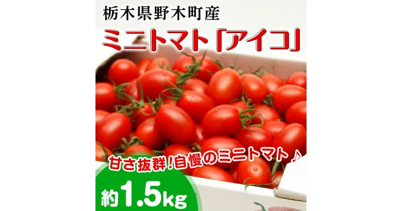 【ふるさと納税】ミニトマト トマト 甘い T07栃木県野木町産ミニトマト「アイコ」小箱（約1.5kg）【2024年10月ごろより順次発送予定】