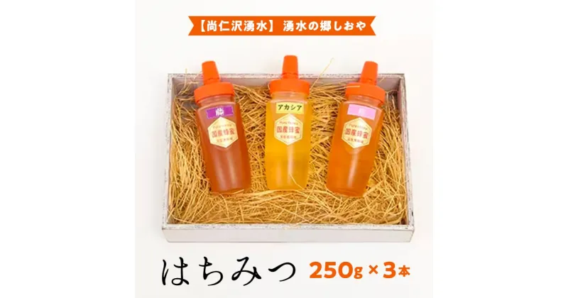 【ふるさと納税】【尚仁沢湧水】湧水の郷しおや　はちみつ250g×3本セット◇