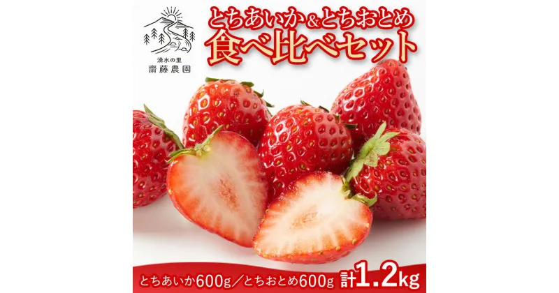 【ふるさと納税】とちあいか600g＆とちおとめ600g 食べ比べセット 計1.2kg 風袋入り ｜ 人気 2品種 食べ比べ 手作り 厳選 農家 特産品 新鮮 フレッシュ ストロベリー 苺 塩谷町 ※2024年12月上旬～2025年4月下旬頃に順次発送予定 ※北海道・沖縄・離島への配送不可