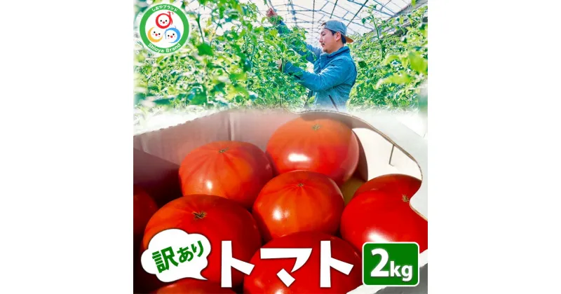 【ふるさと納税】訳あり トマト 約2kg | 規格外 不揃い とまと 野菜 旬野菜 サラダ 新鮮 農家直送 季節 限定 期間限定 しおやブランド※2025年3月上旬～5月中旬頃に順次発送予定