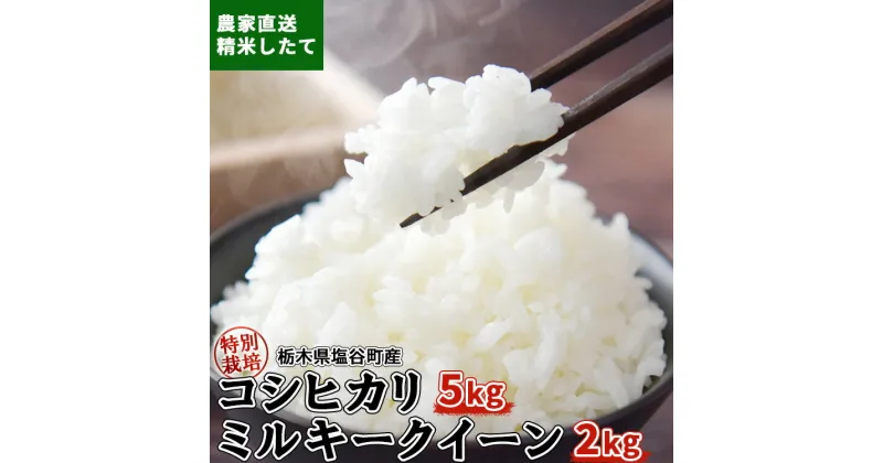 【ふるさと納税】令和5年産 特別栽培コシヒカリ5kgと特別栽培ミルキークイーン2kg 合計7kg 米 お米 おこめ ご飯 ごはん おいしい白米 国産 栃木県 塩谷町