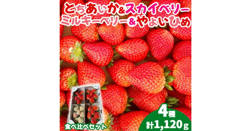 【ふるさと納税】【先行受付】4種のいちご食べ比べセット 約280g×4パック （とちあいか・スカイベリー・ミルキーベリー・やよいひめ） ｜ いちご 苺 イチゴ 果物 フルーツ 食べ比べ 栃木県 塩谷町 ※2025年1月上旬～3月中旬頃に順次発送予定