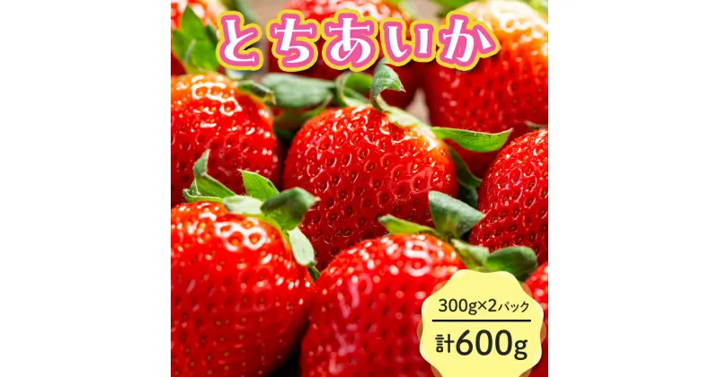 【ふるさと納税】《数量限定》とちあいか 300g×2パック 計600g 風袋入り｜先行受付 果物 いちご イチゴ 苺 くだもの フルーツ 栃木 ※2025年1月上旬～4月下旬頃に順次発送予定 ※離島への配送不可