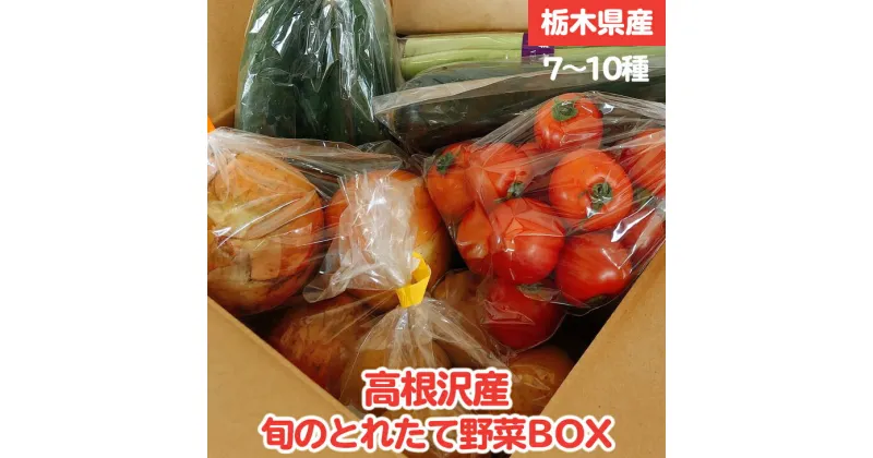 【ふるさと納税】高根沢産旬の野菜BOX