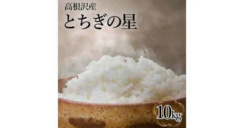 【ふるさと納税】とちぎの星10kg | 令和6年産 新米 | 国産 栃木県産 とちぎの星 米 お米 精米 白米 栃木米 とちぎ米 産地直送 送料無料