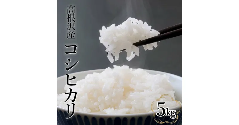 【ふるさと納税】コシヒカリ5kg | 令和6年産 新米 | 国産 栃木県産 コシヒカリ 米 お米 精米 白米 栃木米 とちぎ米 産地直送 送料無料