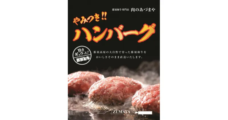 【ふるさと納税】やみつきハンバーグ（6個入）◇ 合挽肉 国産 真空包装 冷凍 那須町 〔P-58〕