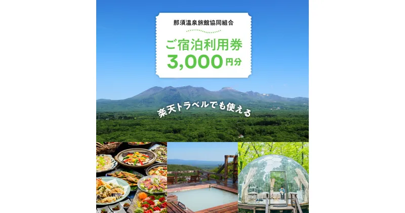 【ふるさと納税】【10月から利用上限変更】楽天トラベルでも使える那須温泉旅館協同組合　ご宿泊利用券3,000円分（3,000円×1枚）｜ 宿泊 旅行 チケット クーポン 宿泊券 楽天トラベル 温泉 露天風呂 旅行券 温泉 ホテル 〔B-9〕