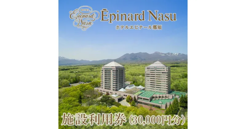 【ふるさと納税】ホテルエピナール那須 施設利用券(30,000円分) ｜ 温泉 露天風呂 宿泊 旅行 チケット 宿泊券 旅行券 利用券 宿泊ギフト券 リゾートホテル 観光 国内旅行 那須 栃木県 那須町〔G-21〕※着日指定不可