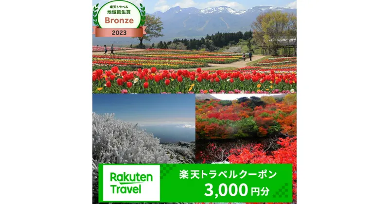 【ふるさと納税】栃木県那須町の対象施設で使える楽天トラベルクーポン 寄付額10,000円｜温泉 観光 旅行 ホテル 旅館 クーポン チケット 予約 国内旅行 那須 栃木県 那須町