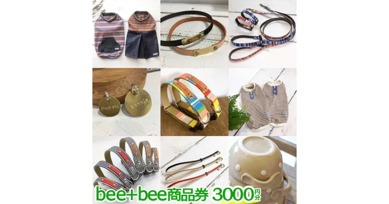 【ふるさと納税】〔B-78〕bee+bee商品券 3000円分