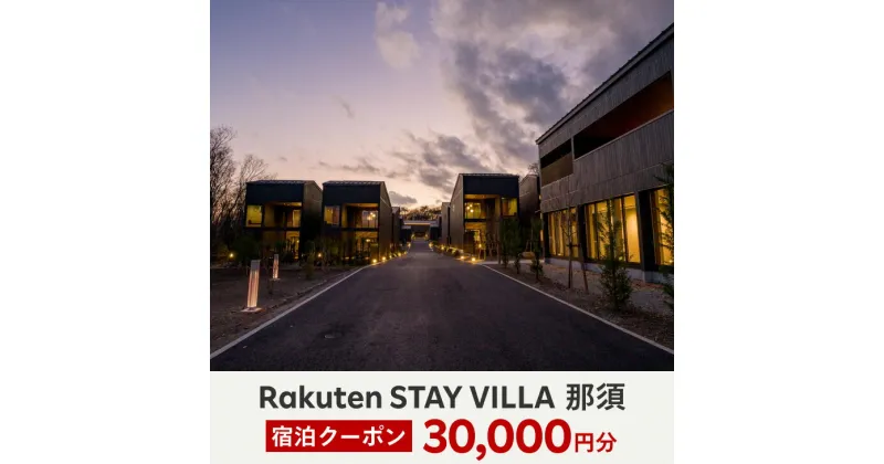 【ふるさと納税】【10月から利用上限変更】Rakuten STAY VILLA 那須 宿泊クーポン (30,000円分)〔G-24〕※着日指定不可