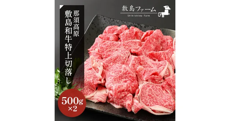 【ふるさと納税】那須高原 敷島和牛特上切落し 1kg（500g×2）国産 黒毛和牛 切り落とし 国産牛 和牛 牛肉 お肉 肉 切り落し 小分け 冷凍 栃木県 那須町《敷島ファーム》〔C-57〕※着日指定不可※北海道・沖縄・離島への配送不可