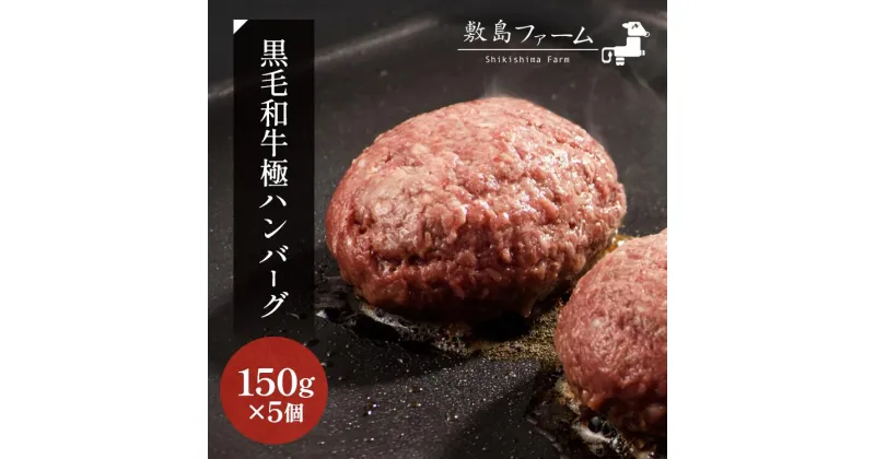 【ふるさと納税】那須高原 敷島和牛手作りハンバーグ（150g×5個）計750g 小分け ハンバーグ 肉 お肉 牛肉 国産 黒毛和牛 冷凍 栃木県 那須町《敷島ファーム》〔B-82〕※着日指定不可※北海道・沖縄・離島への配送不可