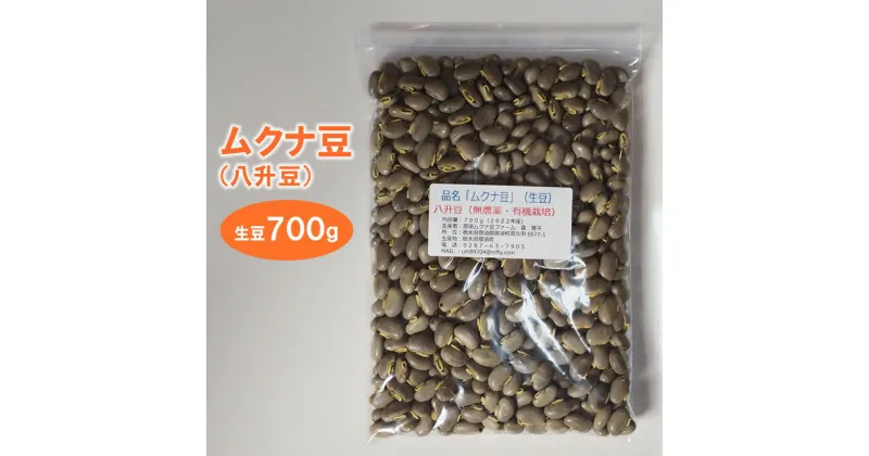 【ふるさと納税】ムクナ豆（八升豆）生豆 700g〔C-58〕