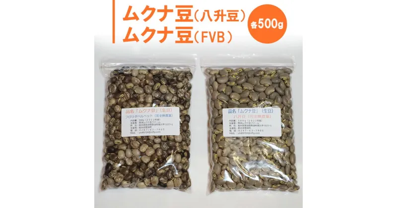 【ふるさと納税】ムクナ豆（八升豆）生豆500g 　ムクナ豆（FVB）生豆500g 〔D-48〕