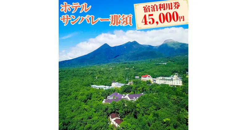 【ふるさと納税】ホテルサンバレー那須 宿泊利用券 45,000円分｜宿泊 旅行 チケット 宿泊券 旅行券 旅 リラックス ファミリー 温泉 露天風呂 国内旅行 那須 栃木県 那須町〔H-13〕※着日指定不可