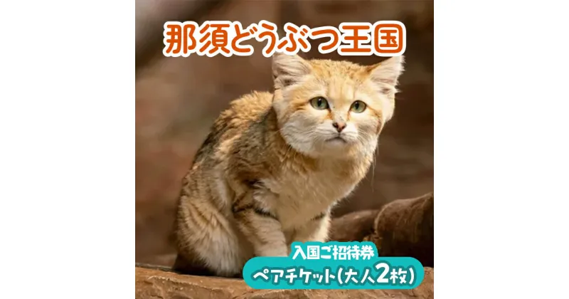 【ふるさと納税】那須どうぶつ王国 ペアご招待券 2名 ｜ 動物 動物園チケット 動物園 どうぶつえん チケット 券 入場券 入園券 観光 ファミリー 家族 お出かけ 旅行 栃木県 那須町〔P-153〕