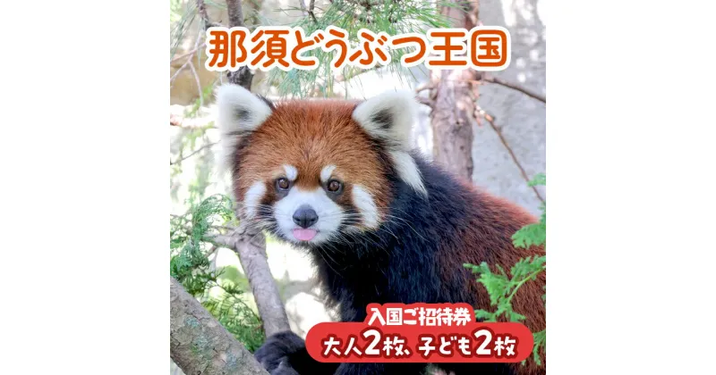 【ふるさと納税】那須どうぶつ王国 ご招待券（大人2名 小人2名） ｜ 動物 動物園チケット 動物園 どうぶつえん チケット 券 入場券 入園券 観光 ファミリー 家族 お出かけ 旅行 栃木県 那須町〔P-155〕